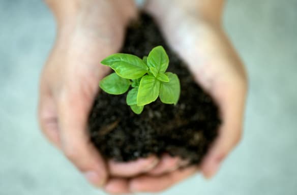 회사 비전 이미지