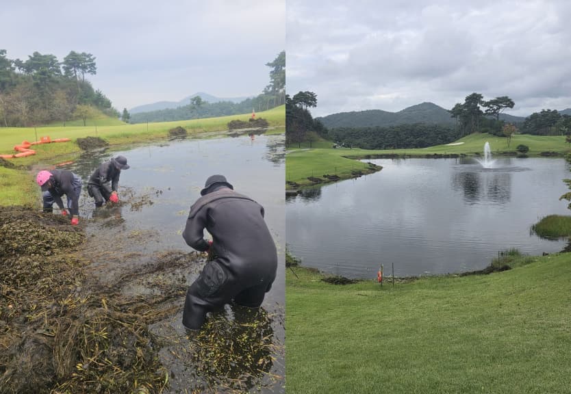 수초제거 작업 현장