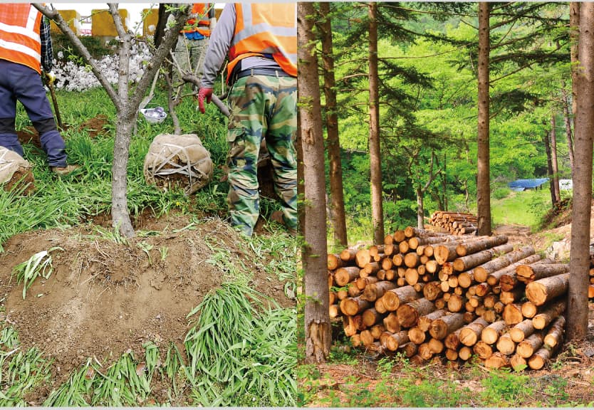 벌목 및 조경 작업 현장