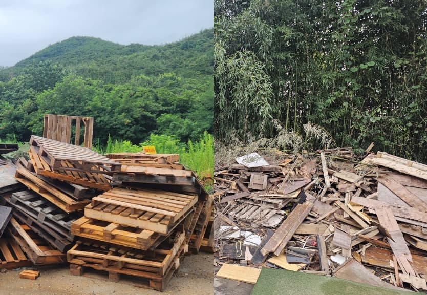 폐목재 처리 현장